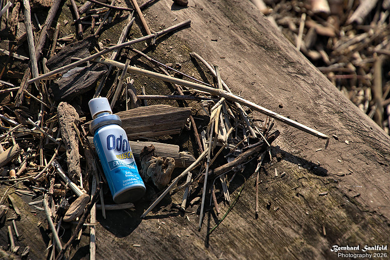 Bernhard Saalfeld - DSC01547 -1